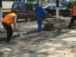 Amenajare spatii verzi langa trotuare - Sos. Colentina, Bucuresti